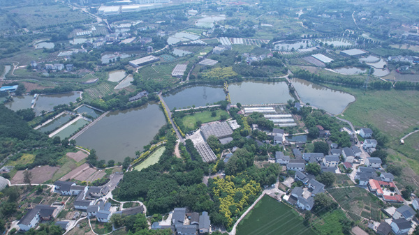 九龙坡西彭镇:农居"小院落"书写治理"大文章"