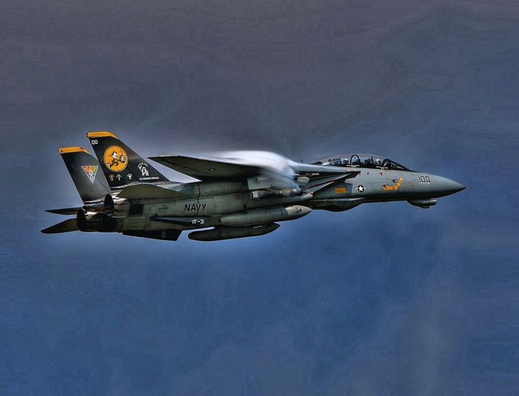 壮志凌云 雄霸天下 f-14雄猫 100图