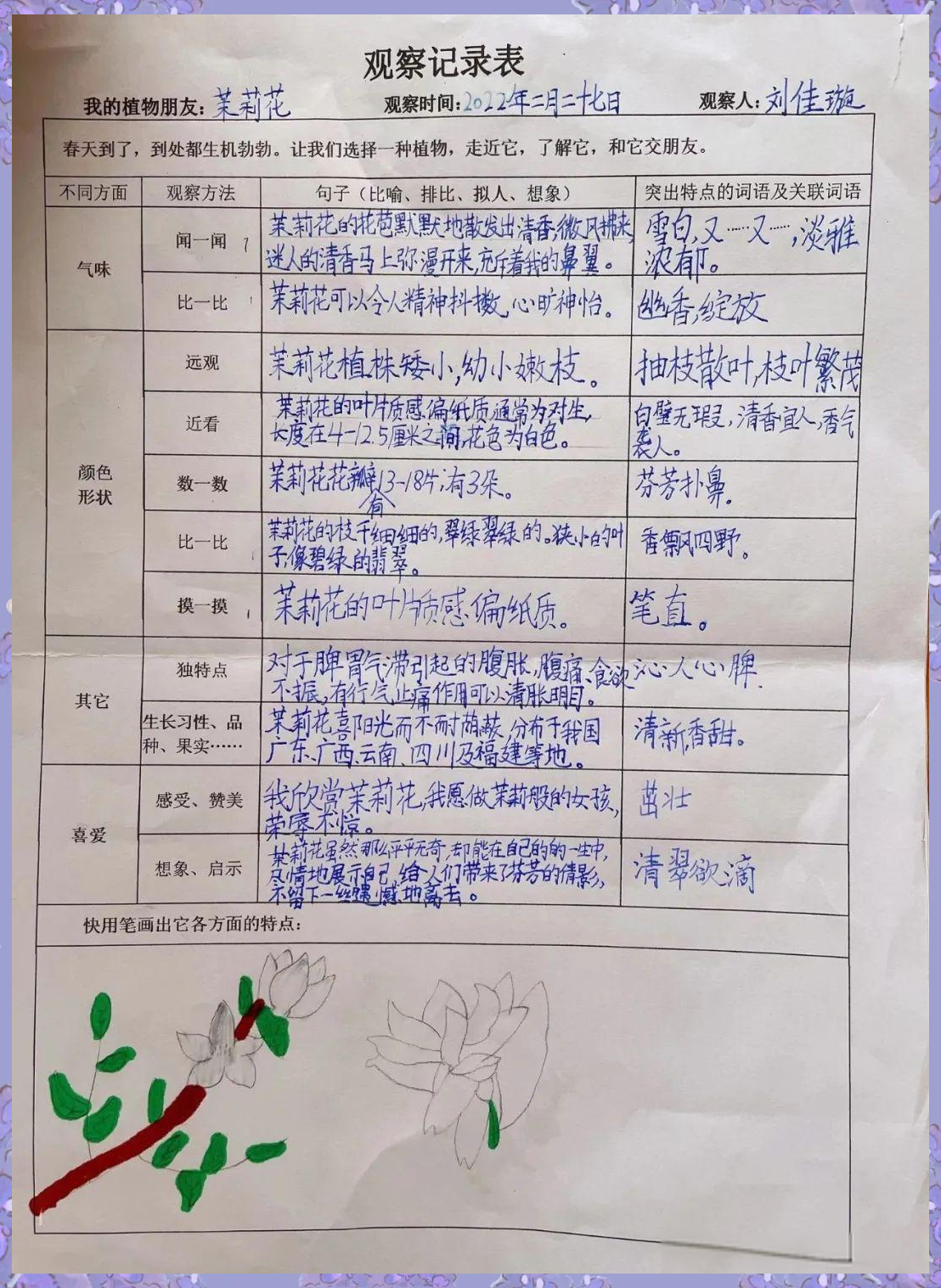 观察植物我们可以用什么记录(观察植物我们可以用什么记录来写)