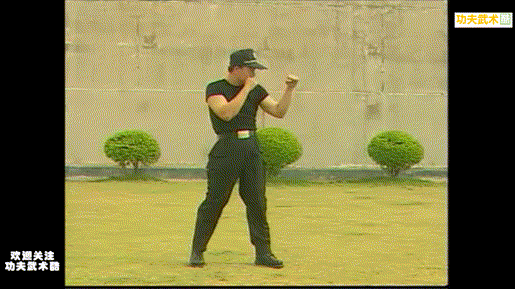 动画教学:特警亲自示范,警用格斗技术中的基本步法与拳法进攻