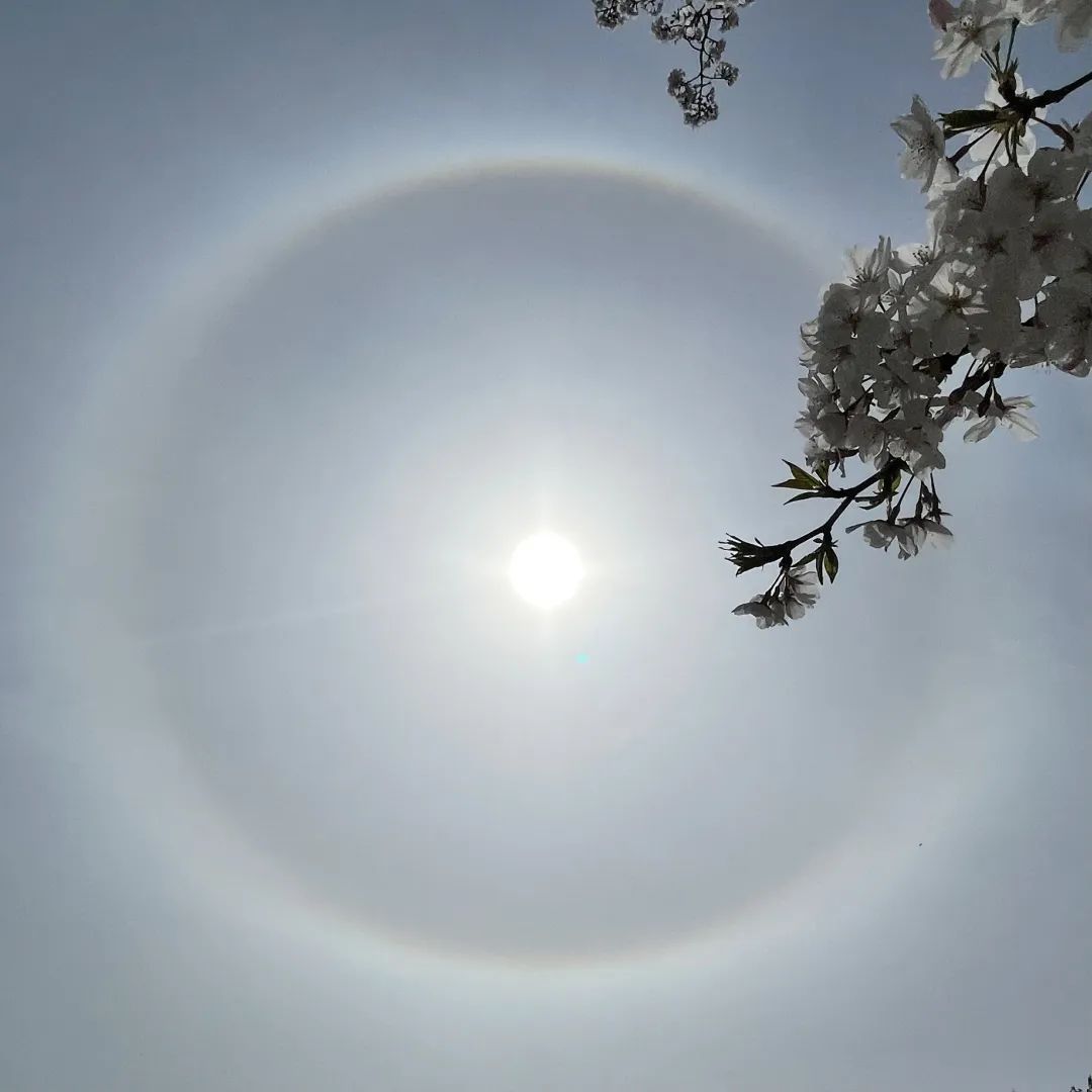 观天气今日情况