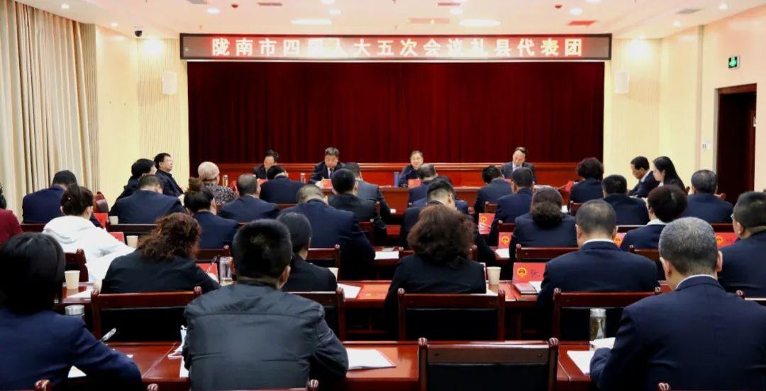 崔景瑜参加陇南市四届人大五次会议礼县代表团审议