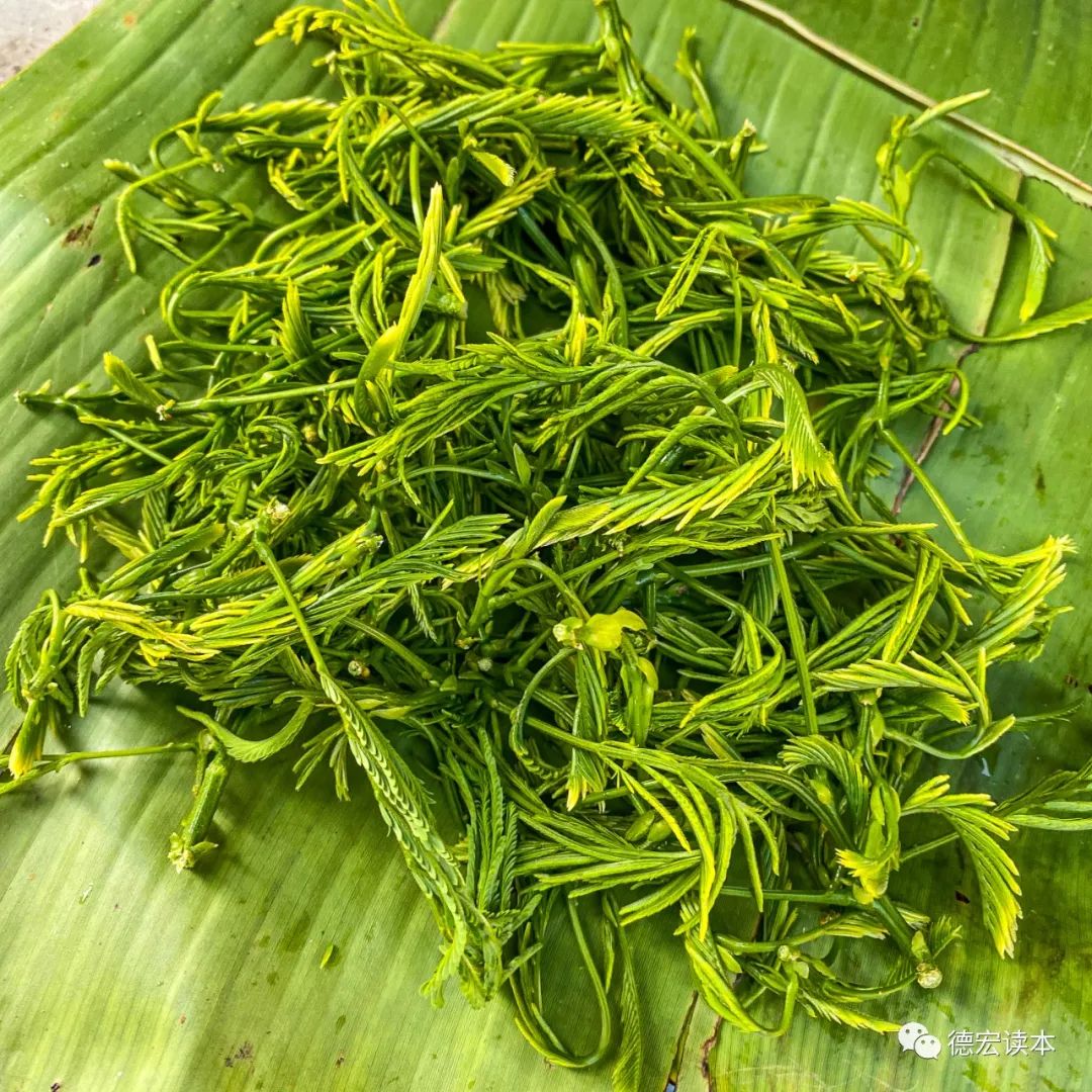 国庆放假第一天,德宏小伙伴来盘帕哈炒鸡蛋