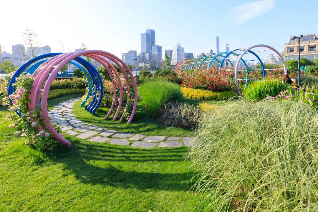 来滨江这个"梦幻月季园",与"三件套"同框!