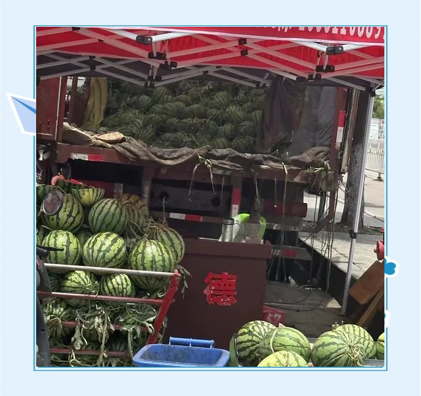 甚至是拉货的电动三轮车上,都满满当当的装着西瓜