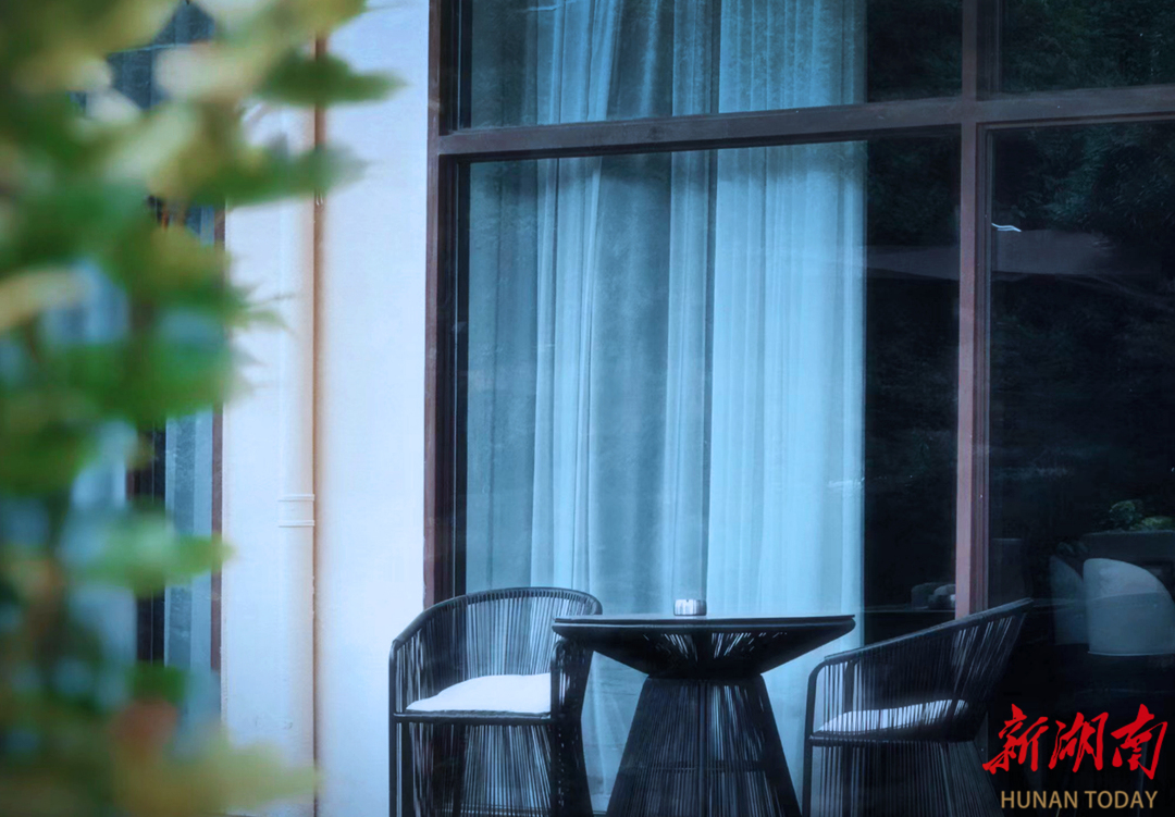 陌槿的"组庵"情怀