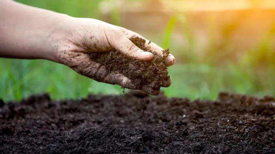 疏松土壤的方法,怎么进行更好的农业生产