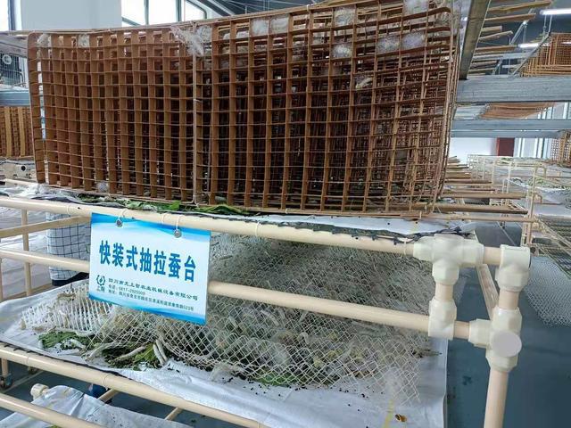 "自动上簇机"首次亮相助力春蚕丰收