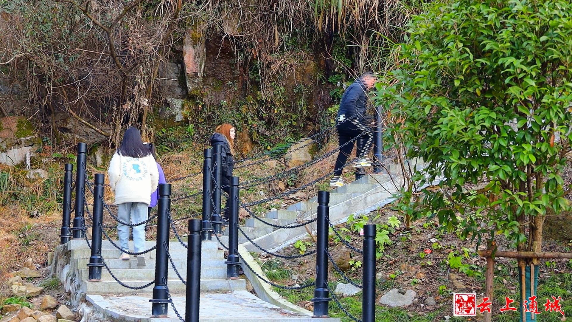 「新春看變化④」親山近水 通城錫山城市公園新春換新顏