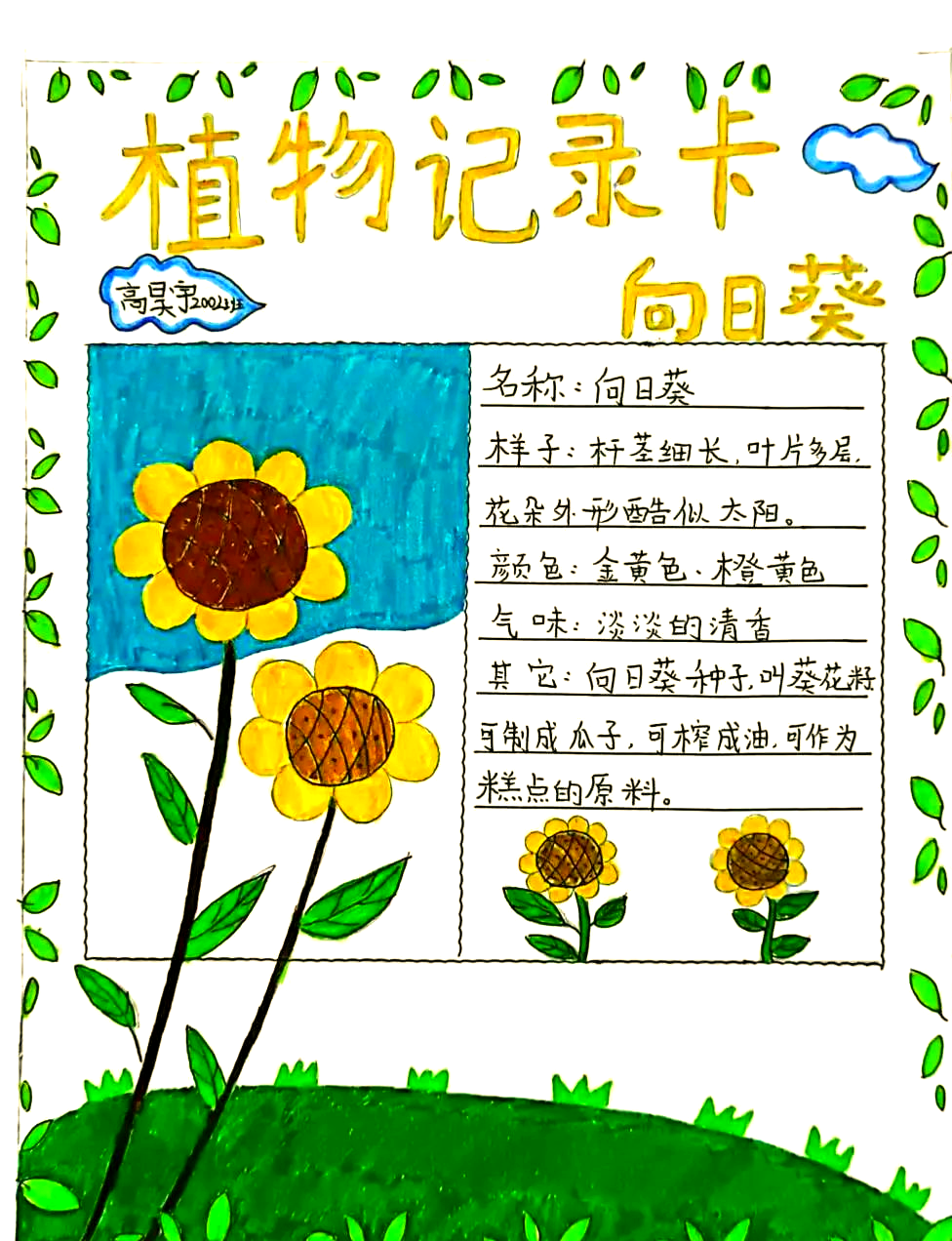 凤山小学三年级语文组开展"植物记录卡"制作活动