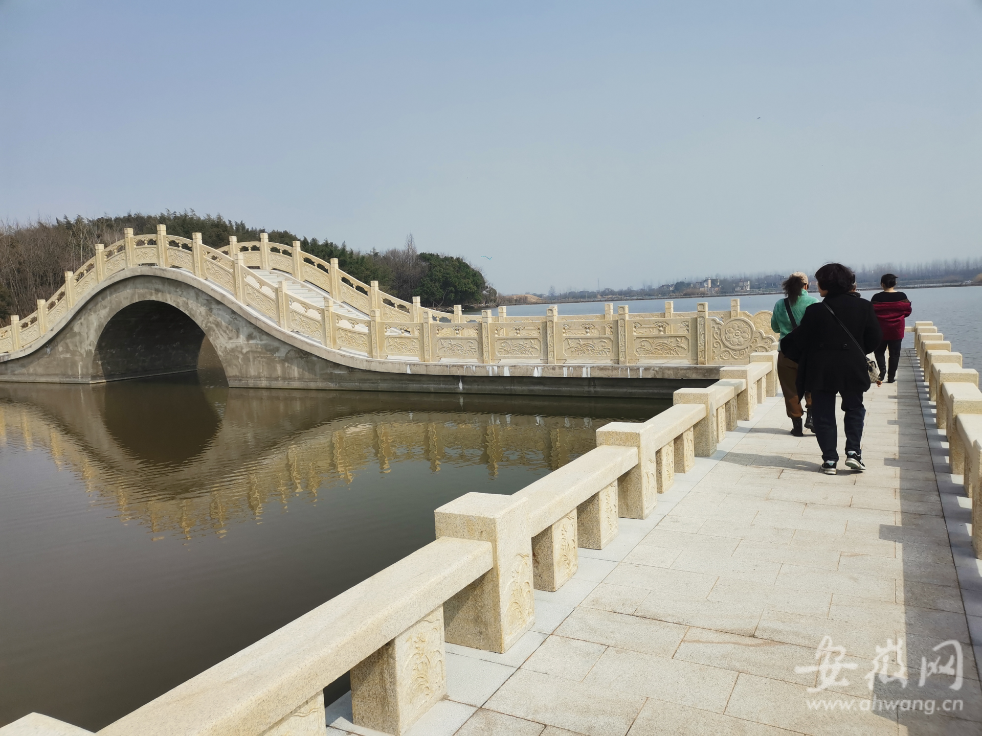 弋江区三湖一坝改造图图片