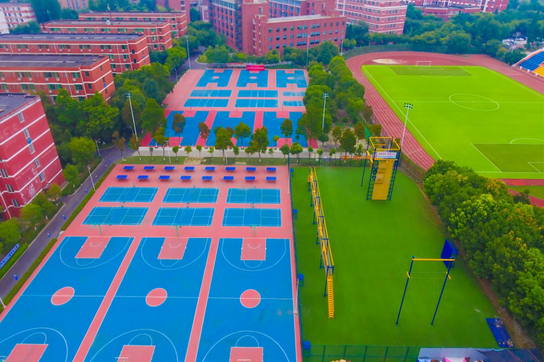 四川2024单招四川托普信息技术职业学院