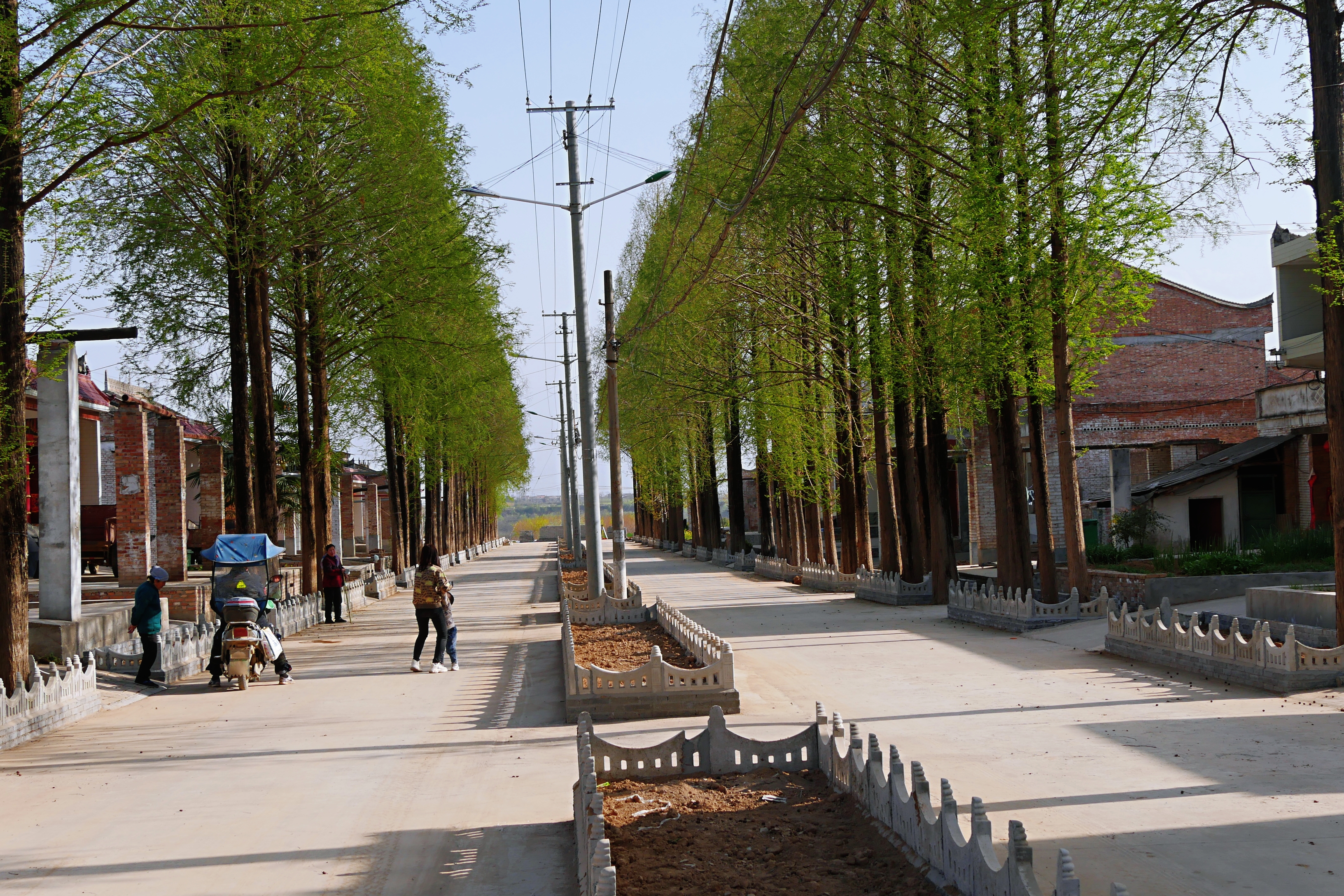 扶风杏林镇浪店村:推进乡村振兴,家园变花园