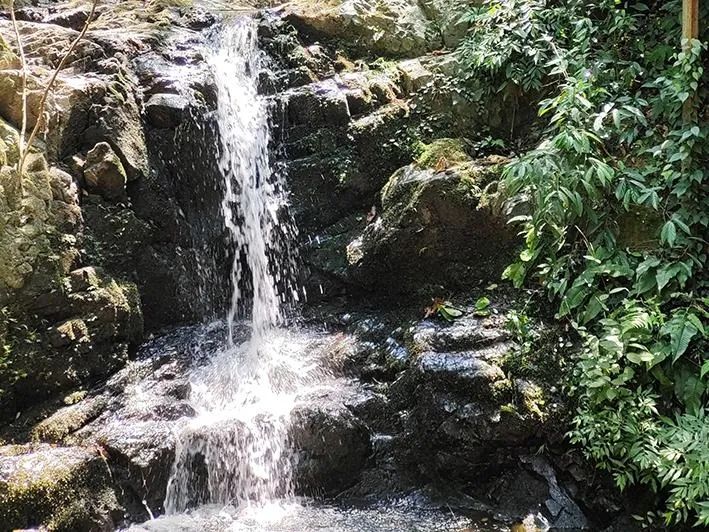 鹤城区旅游景点图片