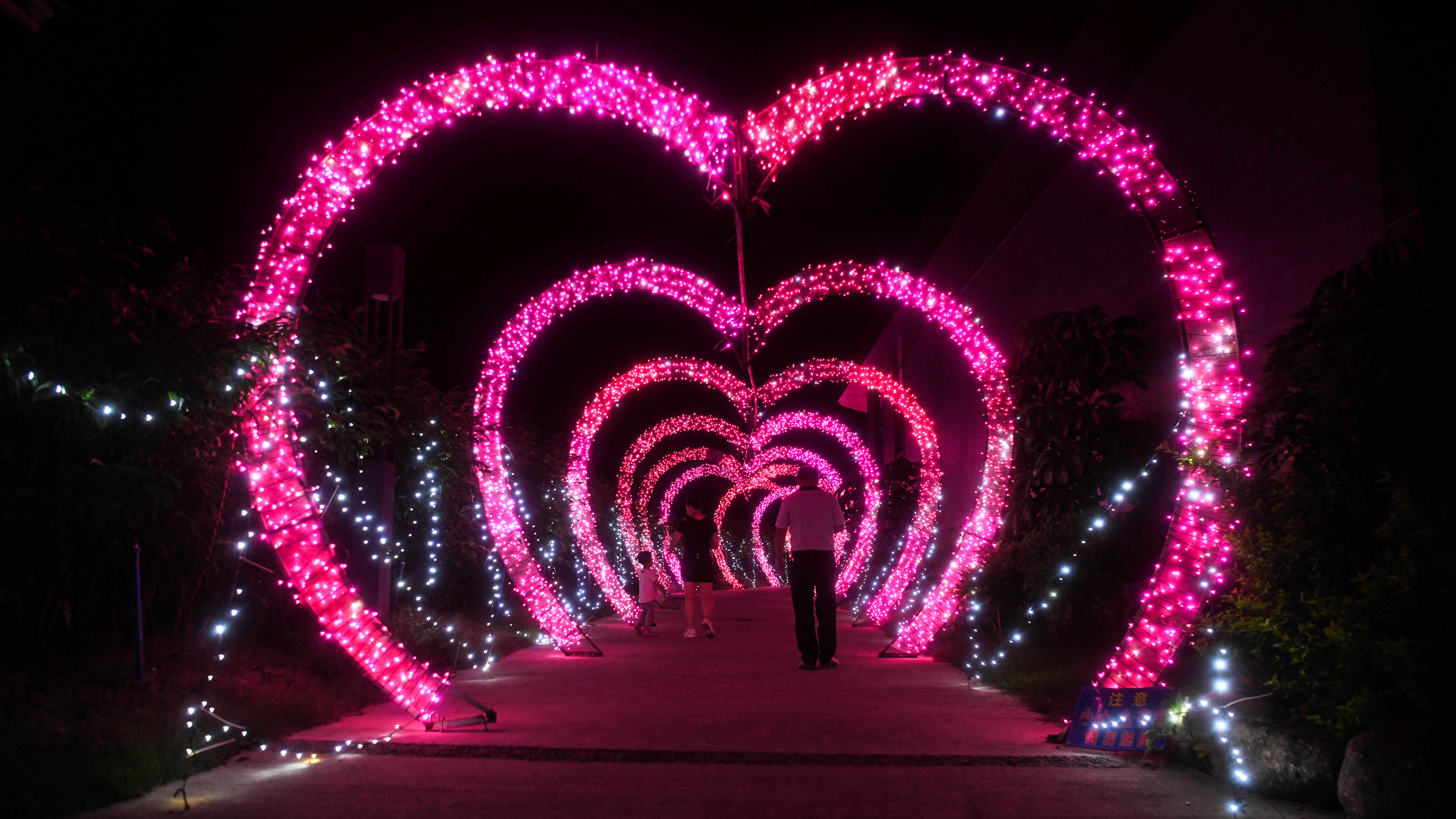 融安:多彩灯光节扮靓仲夏夜