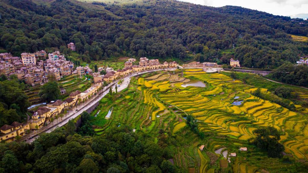 新街镇:干部规划家乡,共绘美丽村庄新蓝图