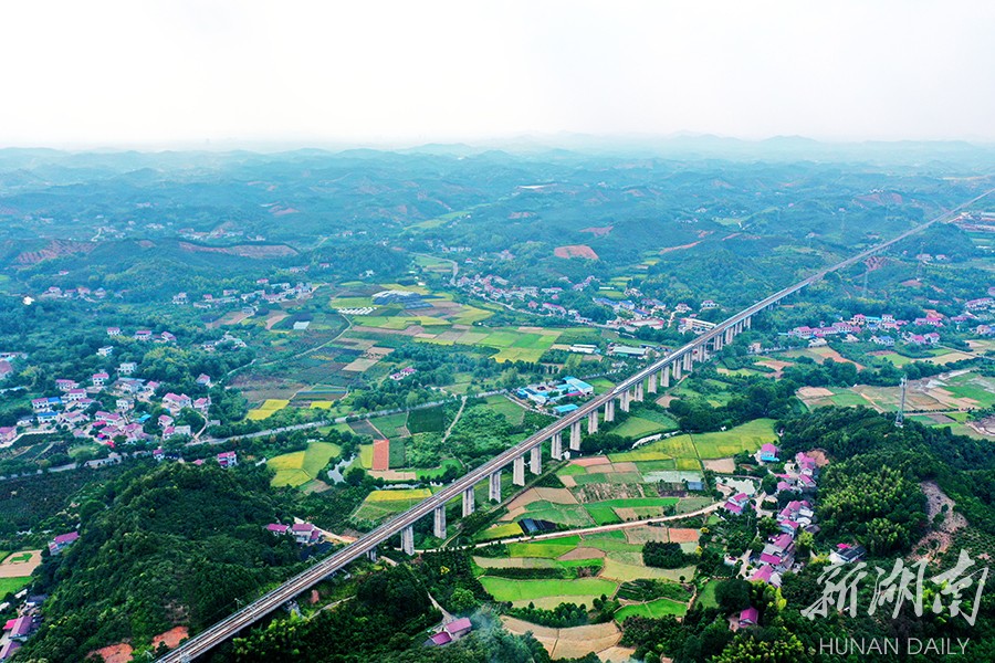 镇头镇:油茶飘香富百姓 "浏河明珠"话振兴