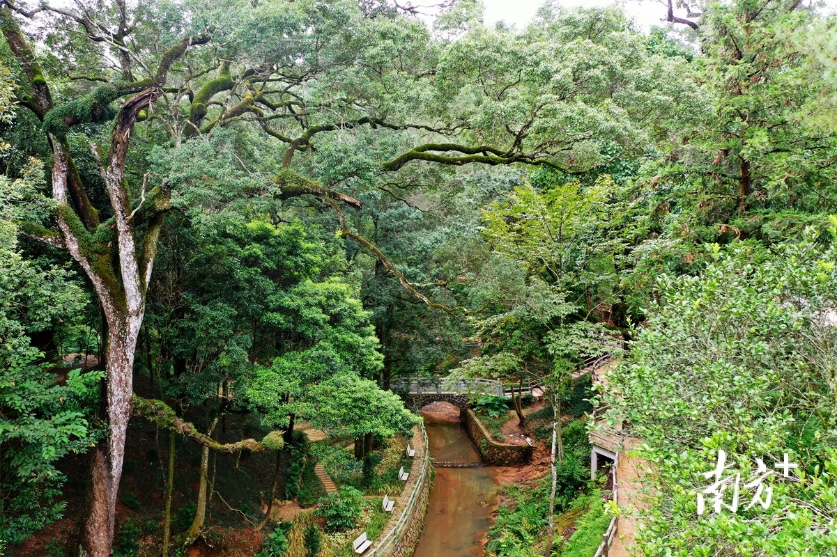 因地制宜实施"百千万工程",蕉岭蓝坊各村动力足|"百千万"镇能量