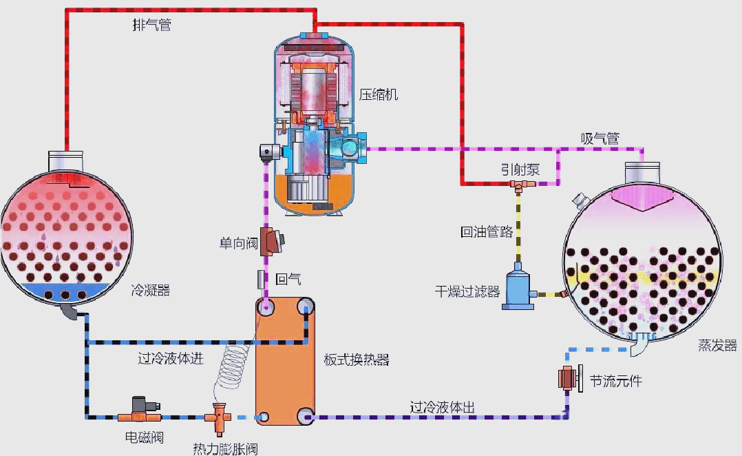螺杆式中央空调工作原理与实用知识全面解析