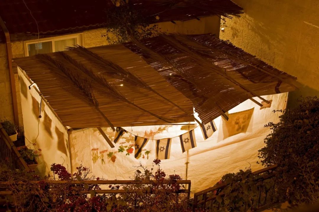 换个有趣的角度感受住棚节 happy sukkot!