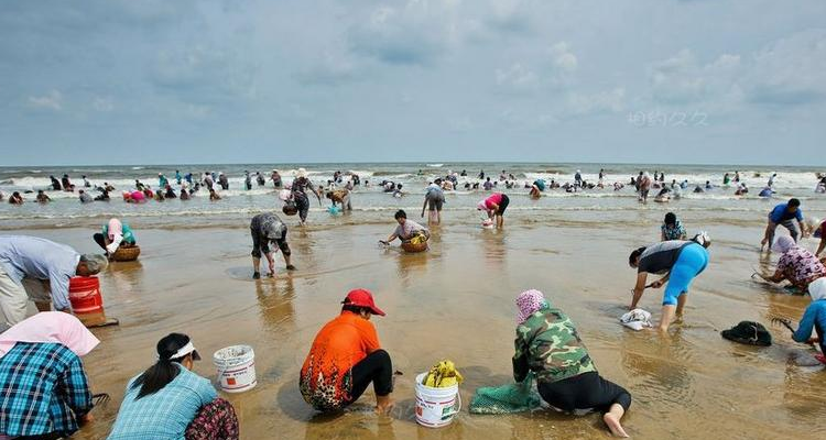 大庆赶海在哪个地方