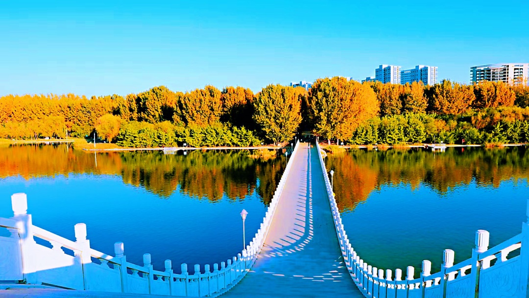 礼乐山东|潍坊:昌邑市文化馆摄影欣赏——丰收秋日