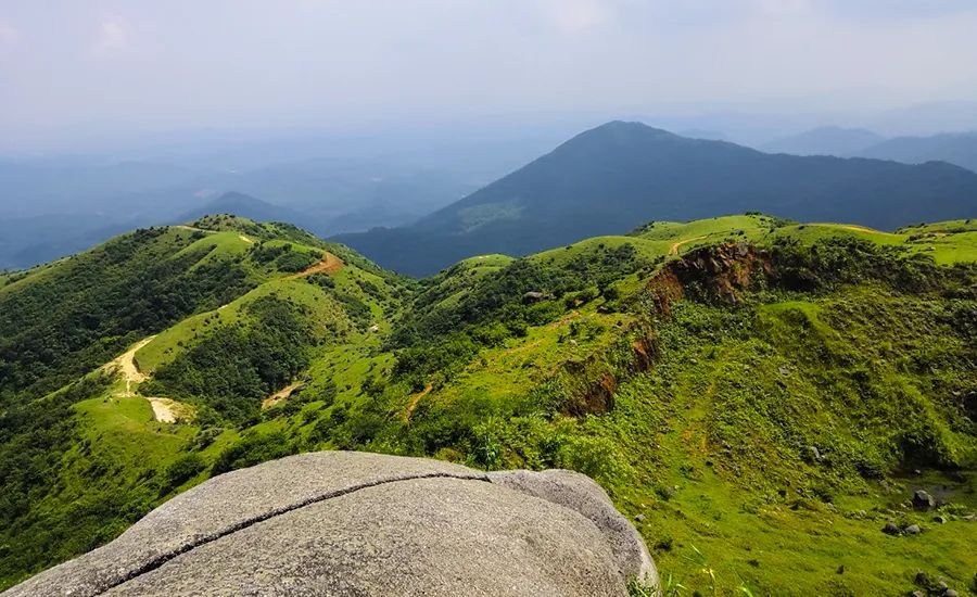 「龙头岭」11月7周日|提前报名更优惠!