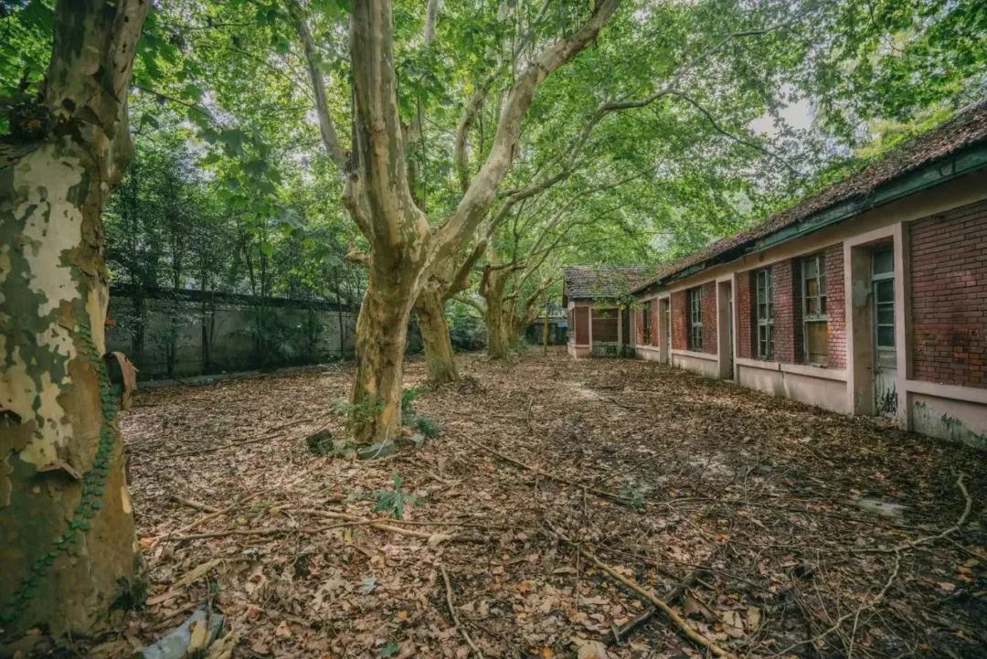 杭大新村:群星闪耀的西溪路56号