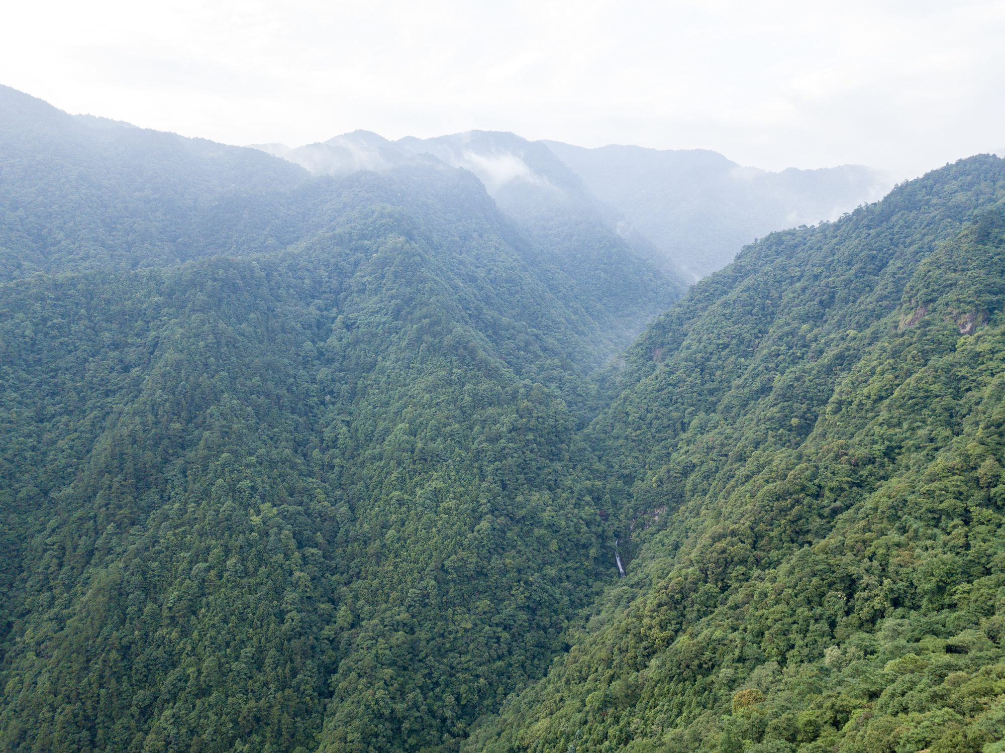 到溫州文成旅行,記得打卡銅鈴山鎮綠水尖滑草場,刺激又好玩