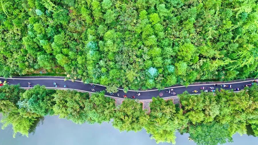 厉害了晋江每7个人就有1个老板每21个人就有1家企业