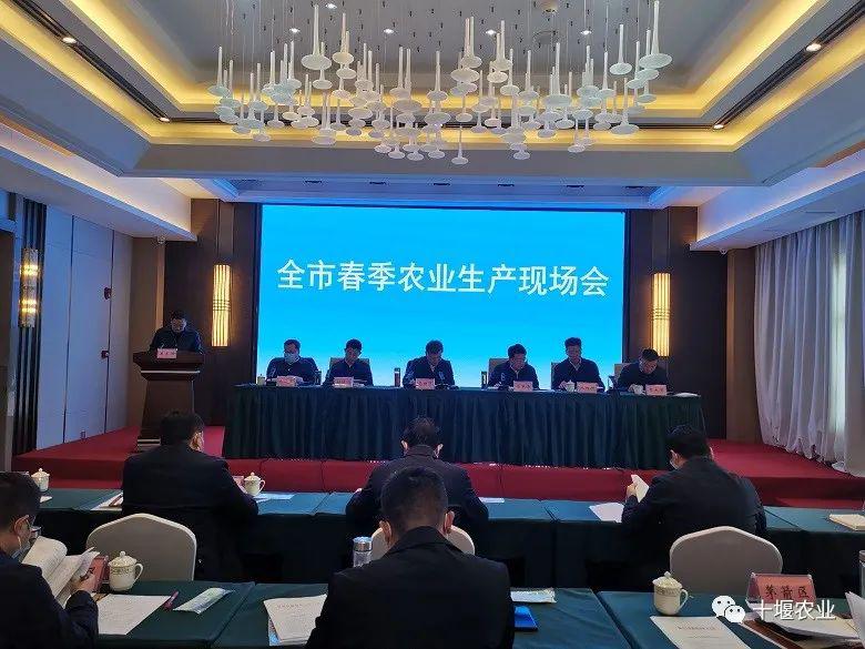 马朝晖在全市春季农业生产现场会强调把握粮食安全主动权建强重点农业