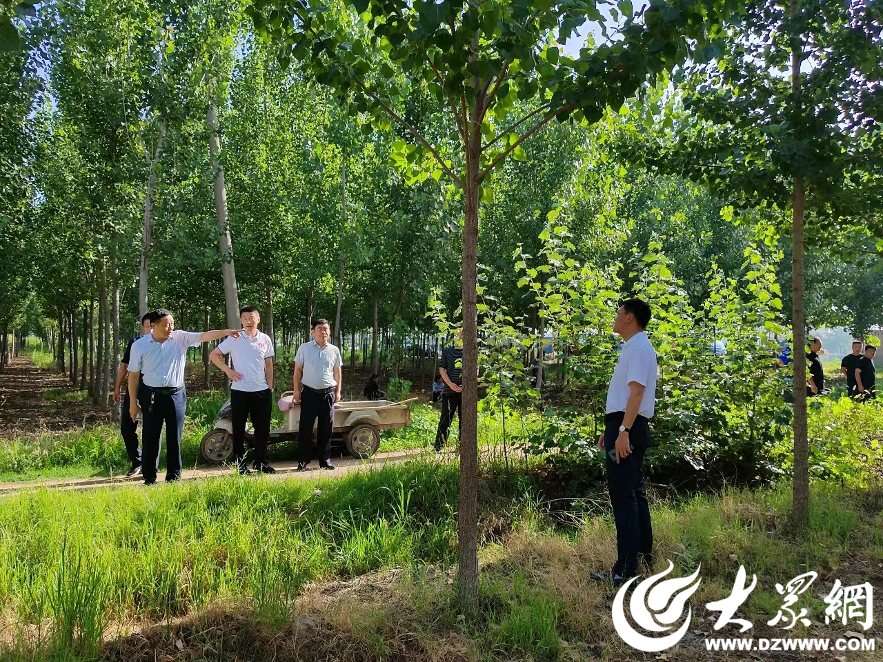 梁山县杨营镇守牢耕地红线 画好"物阜民安""几何图"