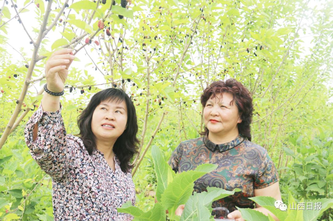 我们的新时代丨博士后张美萍:把科研论文写在田间地头