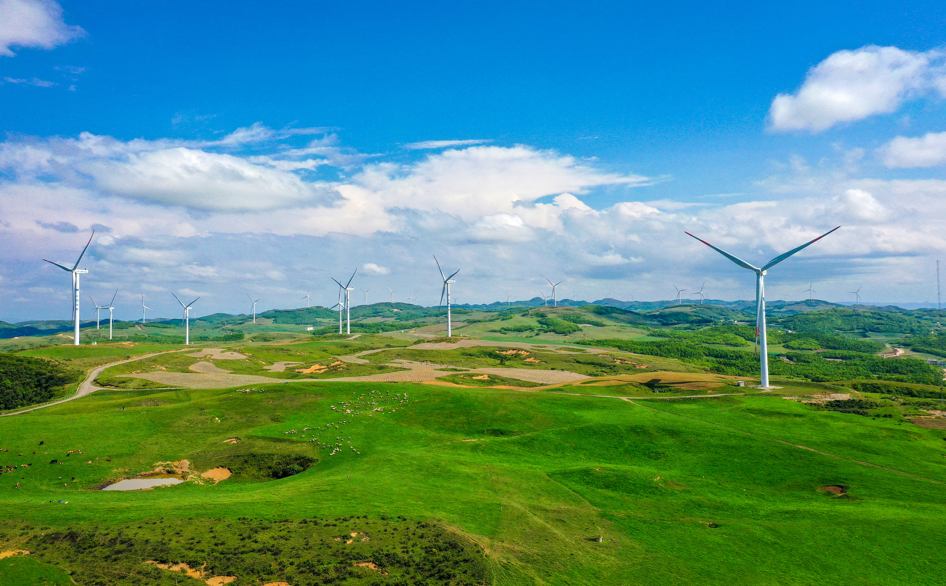 每日一景:灼圃草场 生态画卷