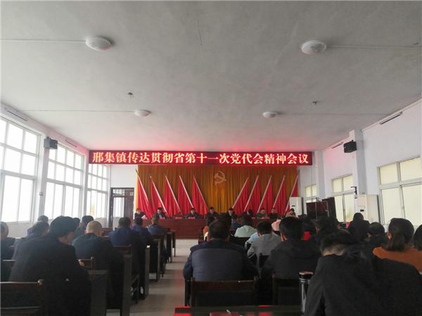 信阳市平桥区邢集镇学习贯彻省第十一次党代会精神