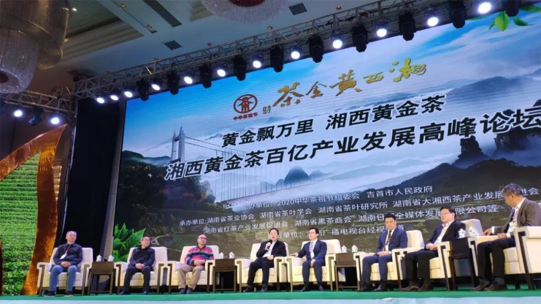 2021年致富新项目(2020年致富经好项目)