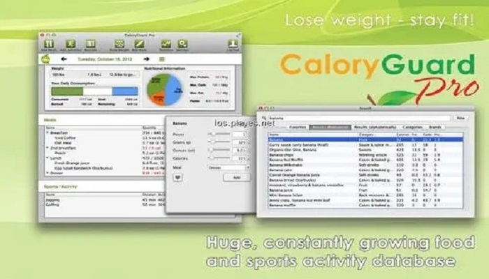 calory和calorie的区别