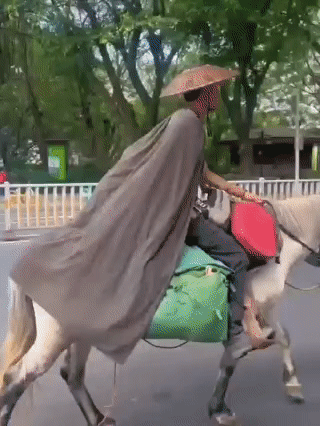 �̽���Խ�й������ظ����������������͡�������¡���