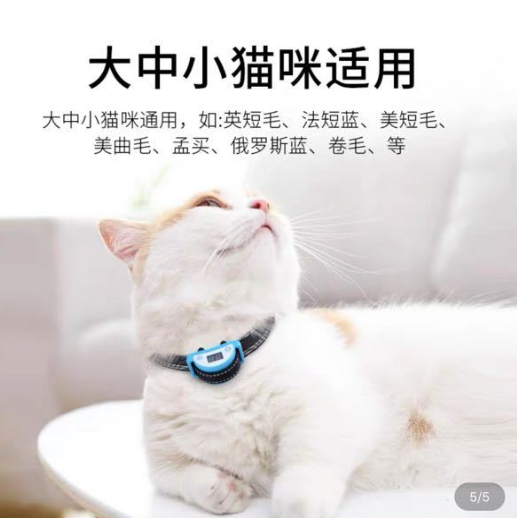 为防止猫叫,有人竟然电击猫?