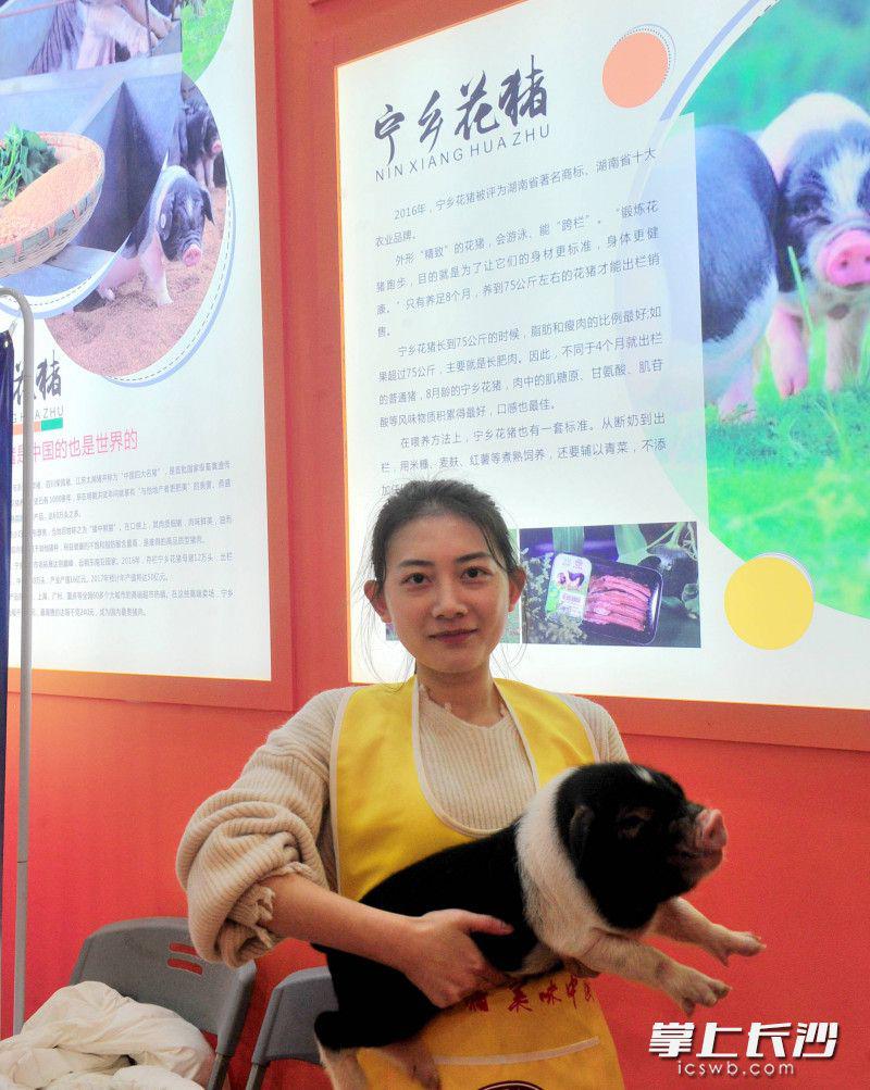 宁乡流沙河花猪小镇月底开门迎客