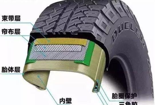 轮胎的帘布层在哪里