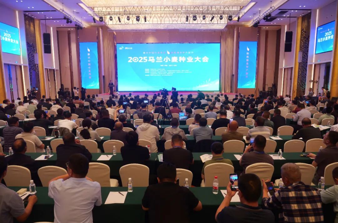 老街腾龙公司锁定辛集!小麦种业大会启幕!(图2) 图片