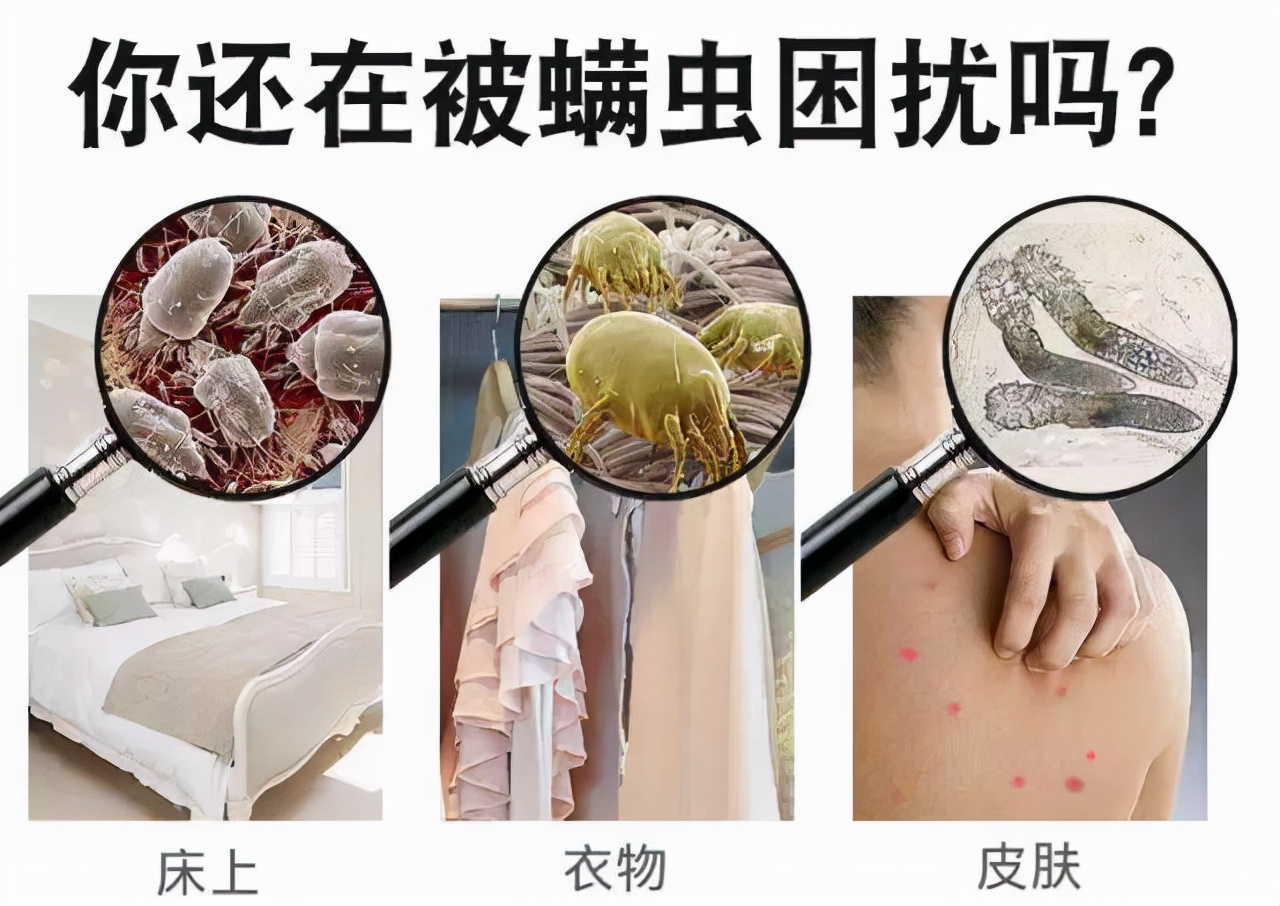 螨虫的危害,想必大家都知道吧!今天给大家介绍一款深度除螨喷雾