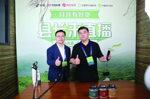 "网红县长陈灿平 以茶为媒 做产业扶贫拓路人