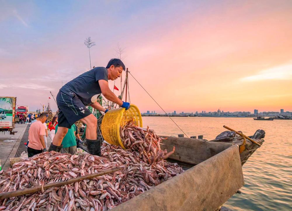 秋捕归来鱼满仓