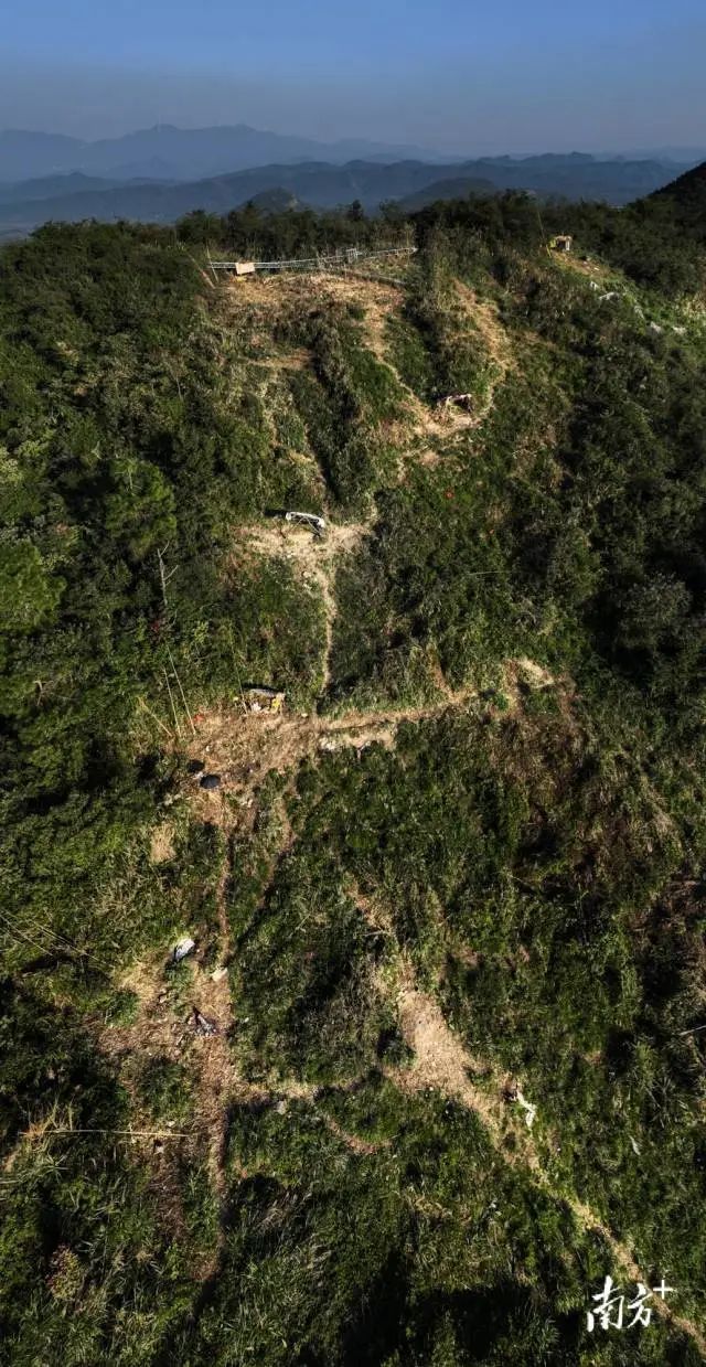 中华千年鸟道保护地图片