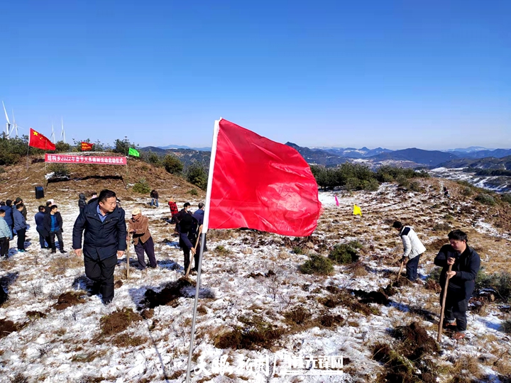 赫章县结构乡:乌蒙高原种下绿色希望