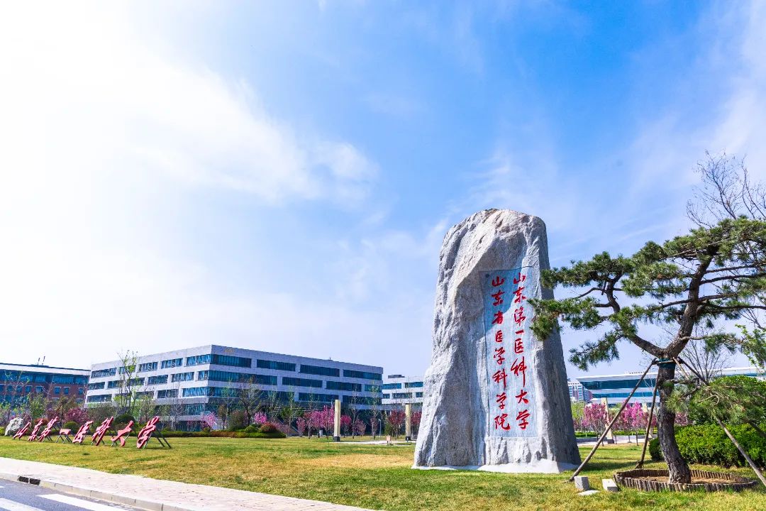 山东第一医科大学山东省医学科学院2024年全日制博士研究生招生简章