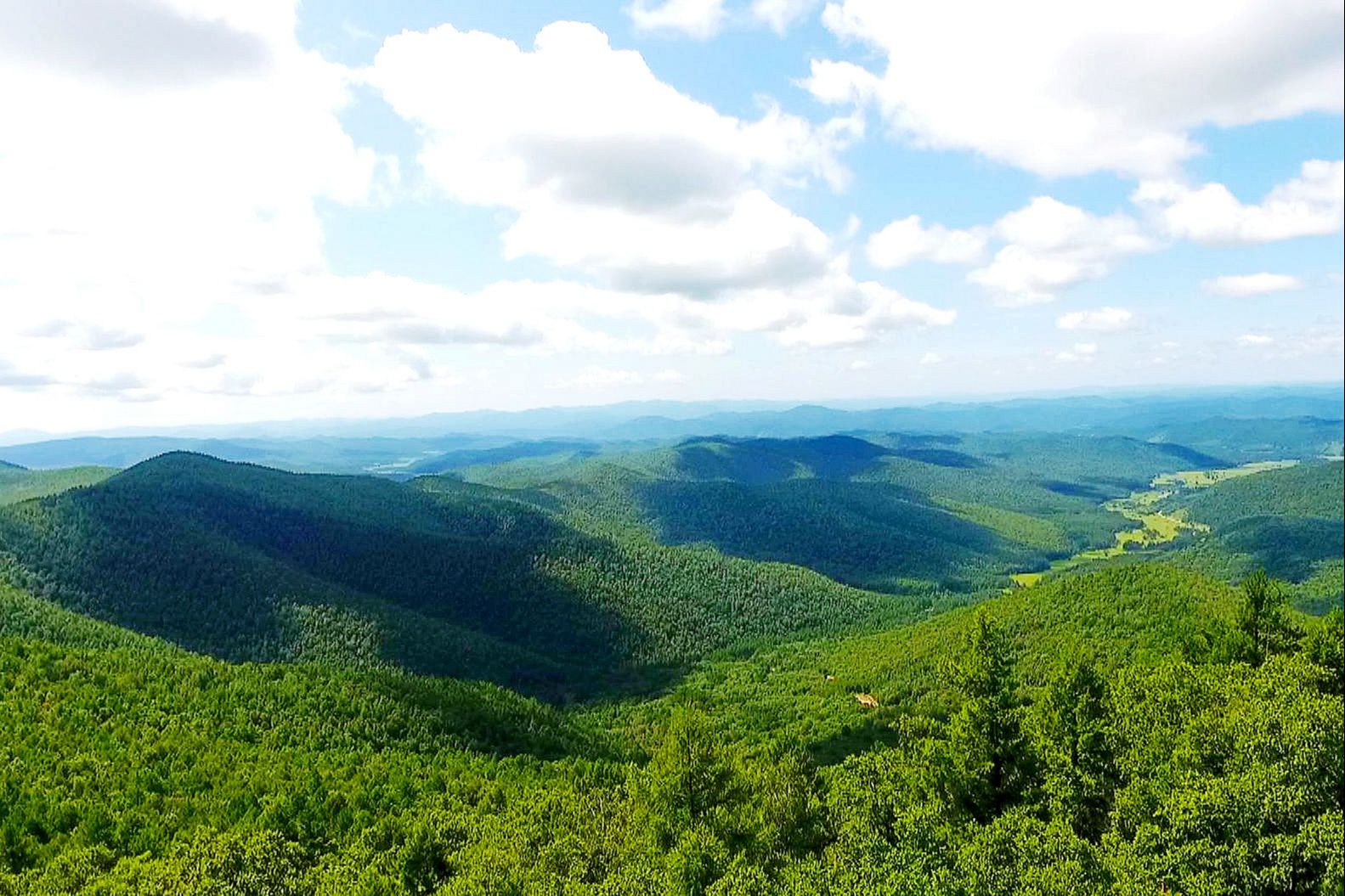 阿荣旗:"生态绿"描绘"共富美"