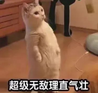 图片来自猫猫表情包 图片版权属于原主musicallstars management之余